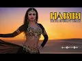 Lagu Habibi حبيبي Remix 2025 🎧 | Best Arabic DJ Mix Party Beats – High Energy Sound