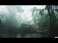 Download Lagu Transamazonia | Trailer | NYFF62