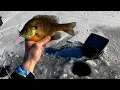 Clam Pinhead Pro on Minnesota s First Ice chasing Panfish BRUTALLY COLD