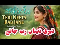 Lagu TERI NEETA RAB JANE | Gojri Pahari Song | New Trending Mahiye 2026