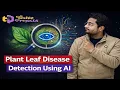 Plant Leaf Disease Detection Using AI Python Deep Learning