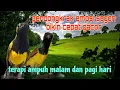 Download Lagu Pendongkrak emosi sogon bikin cepat gacor 🔥🔥
