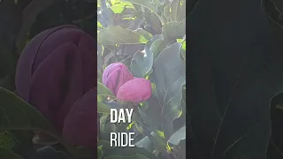 B2W Lovecycling Mtblifestyle Mtblove Trainings Frends 