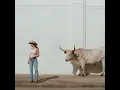 Horses and Divorces