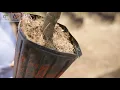 MIRACLE GRO POTTING MIX from GHANA