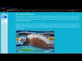 CS50 s Web Programming with Python and JavaScript - Project0 Static website