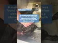 Puppy found nearly drowing in tote -