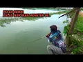 Download Lagu POSITIF MONSTER! Pemancing sampai gak kuat nahan tarikan ikan mas monster ini