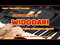 Download Lagu VIRAL !!! WIDODARI DENNY CAKNAN//TANPA KENDANG MELODY//LAGU VIRAL 2021//ROLAND BK 5