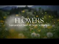 Samantha Ebert ft. Seph Schlueter - Flowers (Official Lyric Video)