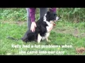 Freedom of spirit trust bc rescue