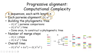 Multiple Sequence Alignment