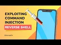 Command Injection Exploitation - Reverse Shell Access Decrypt3r