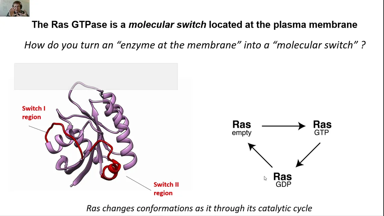 Ras Lecture 1 -- Part 1: How does the Ras GTPase act as a molecular switch?