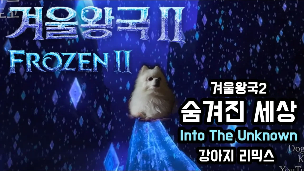 겨울왕국2 Into The Unknown ( 숨겨진 세상 ) 커버 강아지 리믹스 (Frozen 2 OST dog cover)