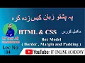 Lec CSS Tutorial CSS Box Model Margin and Padding Web Development Tutorials