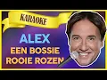 Download Lagu Alex - Een bossie rooie rozen // Sterren NL Karaoke