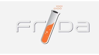 Frida Intro