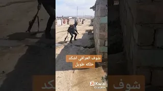 الهيبه    ابطال الجيش العراقي ذيب مو عسكري دندنها
