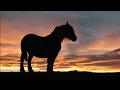 Ian & Sylvia - Some Day Soon [HD]+