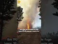 Download Lagu UM TORNADO DE FOGO! 🥵🌪️ #shorts