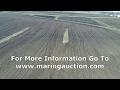 80 Acres Of Farm Land In Rice County MN