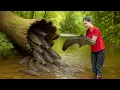 Download Lagu TIMELAPSE - Harvesting Giant Wild Catfish Goes To Market Sell | Ella-Free Bushcraft