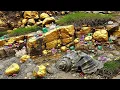 MASSIVE Gold Nugget Discovery in Rocky Mountain River Pearl Hunter TV9