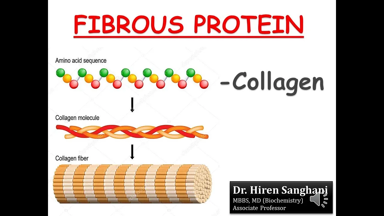 Biochemistry of Collagen - Structure II Synthesis II Associated disorders