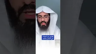 تفسير رمز الحناء في الشعر بالمنام 