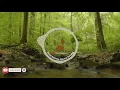 Download Lagu lagu Pramuka Di sini senang di sana senang stereo HD - MUSIK PRAMUKA LEGENDARIS