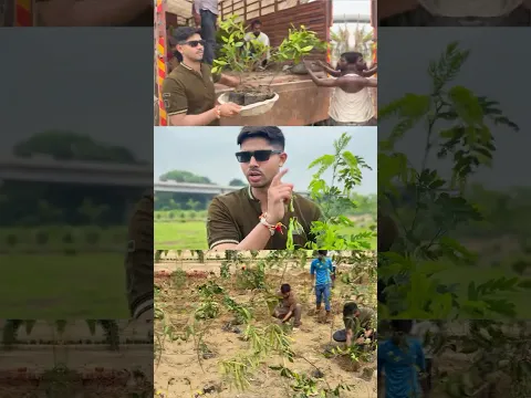 🛑 1st SUB = 1 TREE 🌳 | The Trees We Plant This Monsoon Matter 🌧️☀️ #shorts #flora #explore