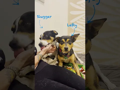 Lefty and Slugger