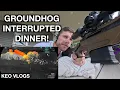 Cooking Dinner Then a Groundhog Walked Into My Thermal Scope