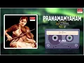 Carnatic Classical Instrumental | Pranamamyaham | Enna Thavam | Violin Delights | By T. Rukmini