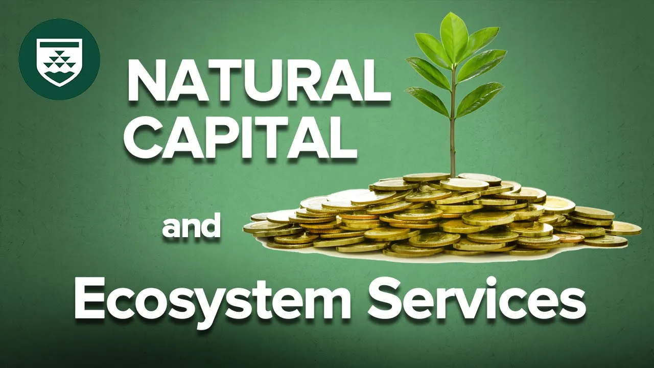 Natural Capital and Ecosystem Services—Professor Robert Costanza