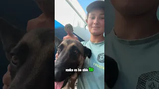 hamma® Marine standing Rigging