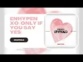 CLEAN ACAPELLA | ENHYPEN (엔하이픈) 'XO (Only If You Say Yes)'
