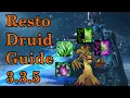 Resto Druid Guide for Classic Wrath of the Lich King 3 3 5 End Game gear Check Pin in Comments