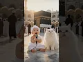 Download Lagu  ছেলে বসে বসে গান গাচ্ছে 🐱 #Animal#Realistic#Western Realism#model westernrealism#AI Video