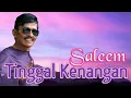 Download Lagu SALEEM - Tinggal Kenangan | Video Lirik
