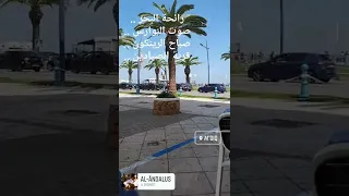 رائحة البحر صوت النوارس صباح الرينكون قرية الصيادين 