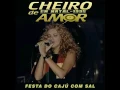 Download Lagu Cheiro De Amor (Márcia Freire) Ao Vivo Em Natal 1995