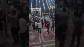 لورنس العشوش شفا بدران 