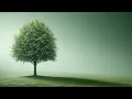 Python DSA Quiz Part 4 Trees and Binary Search Trees