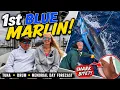 1st Blue Marlin of 26 Shark Bite Tuna Memorial Day Forecast More - What s Biting Now