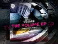 Download Lagu Cesare ☆I Wanna☆ Original Mix. The Volume EP, Doin Work Records 2013