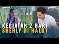 Download Lagu Hobi Bikin Orang Bahagia, Sherly Laos Banjir Pujian Kegiatan Padat 2 Hari di Halmahera Utara