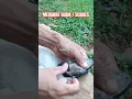 Download Lagu GUMPALAN GUDIK / SCABIES HARUS DIKELUPAS AGAR CEPAT SEMBUH DENGAN SYARAT #shorts #viral #fyp