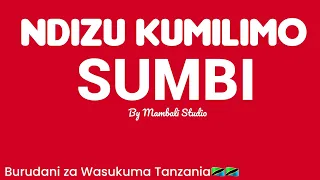 NDIZU KUMILIMO SUMBI 2025 BY MAMBALI STUDIO Fypシ Viral 